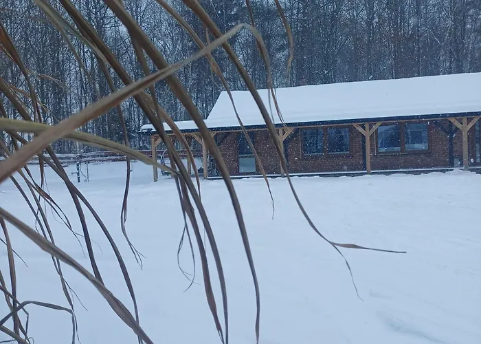 Zacisze Czestkowo Apartment *